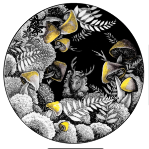 The Mushroom Grove -  Prints from the Wild, Wide Woods