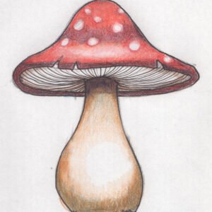 Doodle Tutorial - Terrific Toadstool!